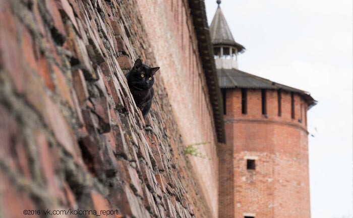 Экскурсия на стены и башни Коломенского кремля