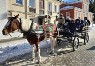Экскурсия по кремлю на конной повозке