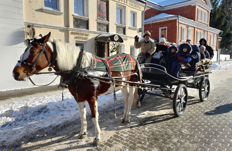 Экскурсия по кремлю на конной повозке