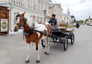 Прогулки и экскурсии на конной повозке по Коломенскому кремлю!