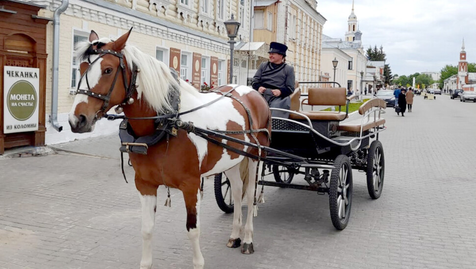 Прогулки и экскурсии на конной повозке по Коломенскому кремлю!